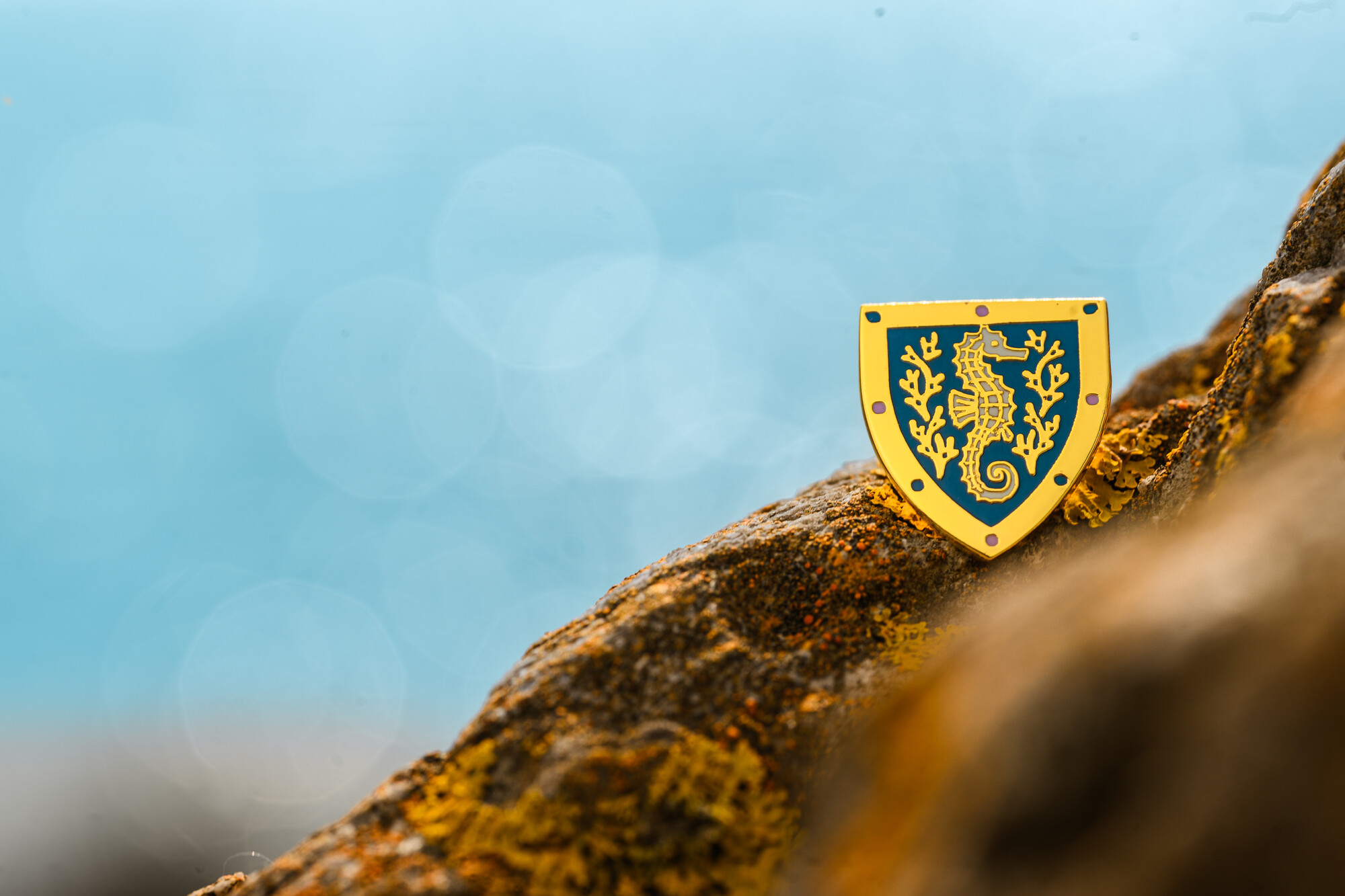 RS10449_Marine Biological Association Fellows Pin-8935_lpr.jpg