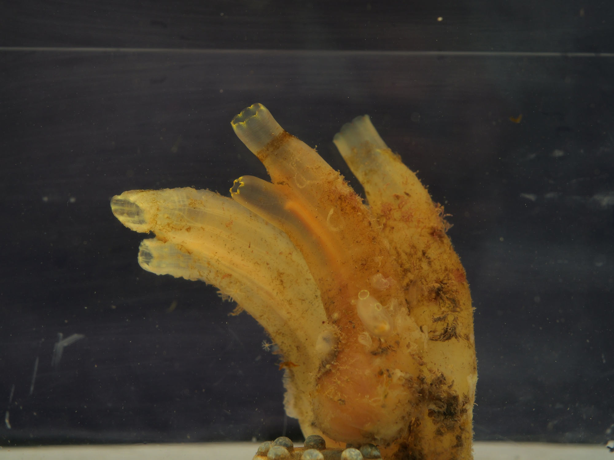 P1087779_o.jpg